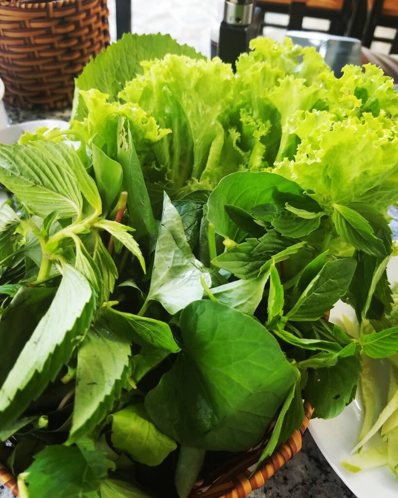 Health benefits of Vietnam vegetables 2 819x1024