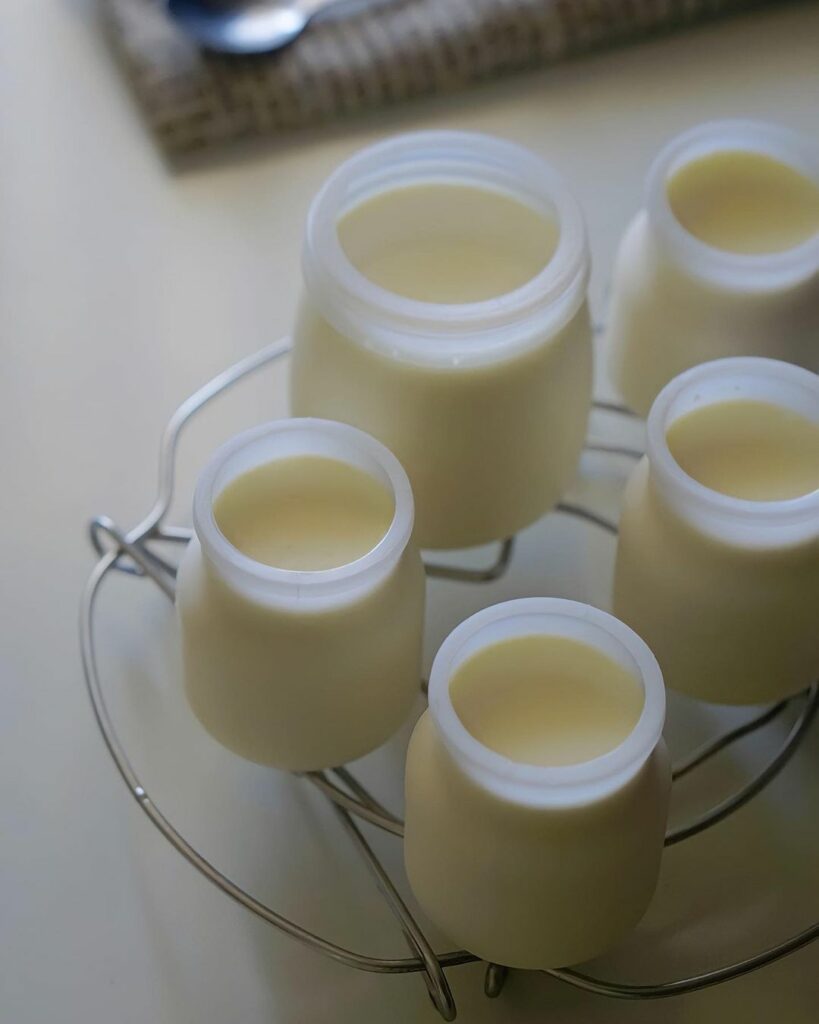 Homemade Vietnamese Yogurt Recipe with Condensed Milk (Da Ua Yogurt)