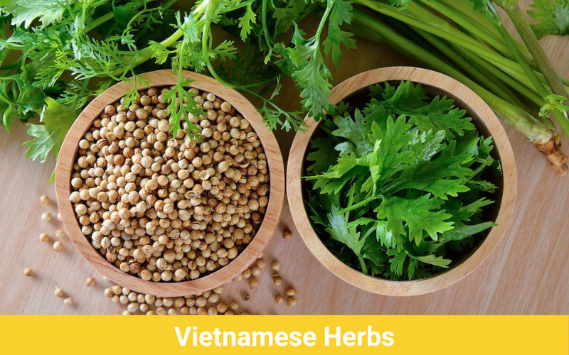 Vietnamese herbs