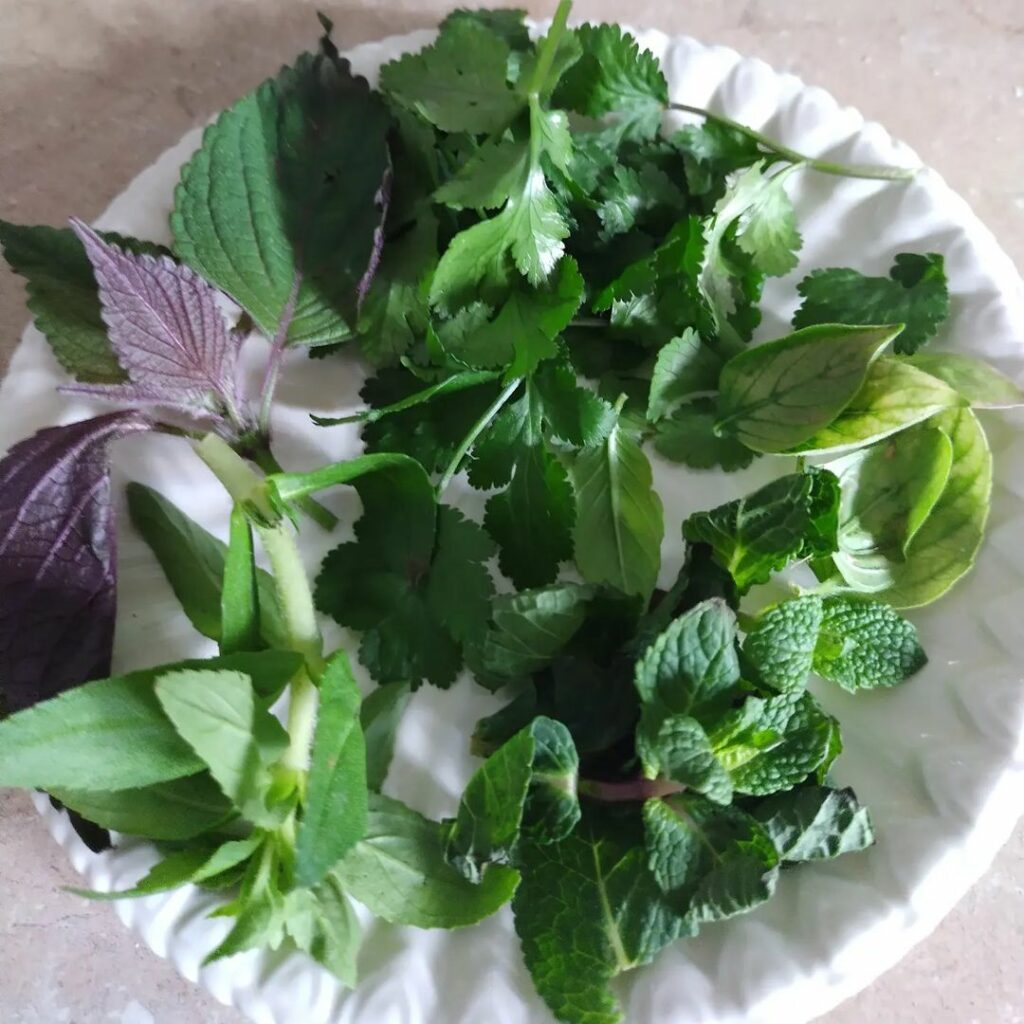 What are Vietnamese herbs 1024x1024