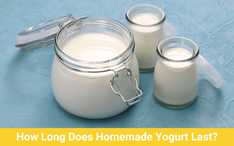 how long does homemade yogurt last
