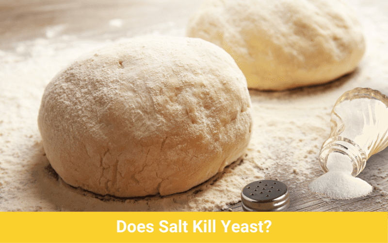 does salt kill yeast