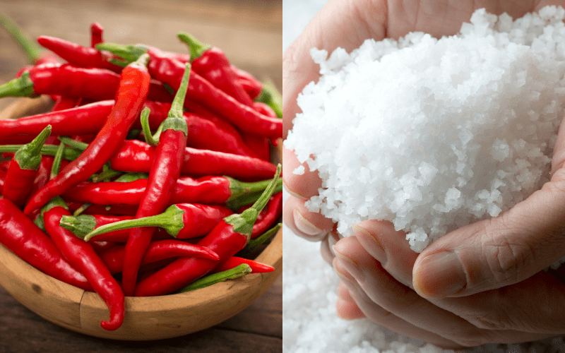 How to Make Muoi Ot (Vietnamese Spicy Salt)?