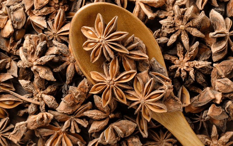 What's The Difference Between Herbs, Spices, Condiments, Seasonings?