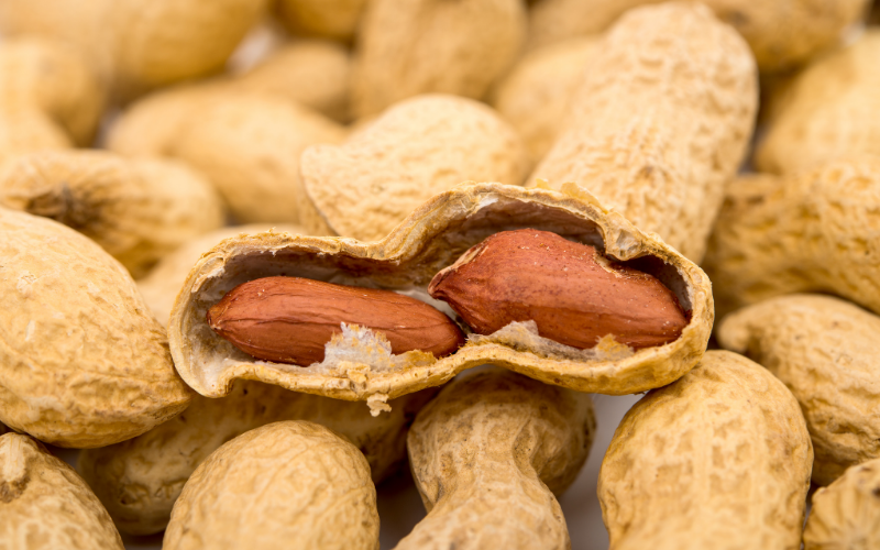 can you eat roasted peanut shells