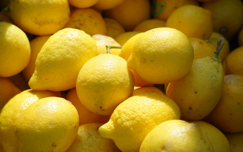 what is lemon fruit or vegetable